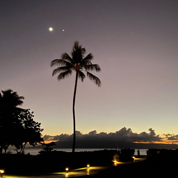 Meet your Posher, Nicolle - Picture 3 of 3